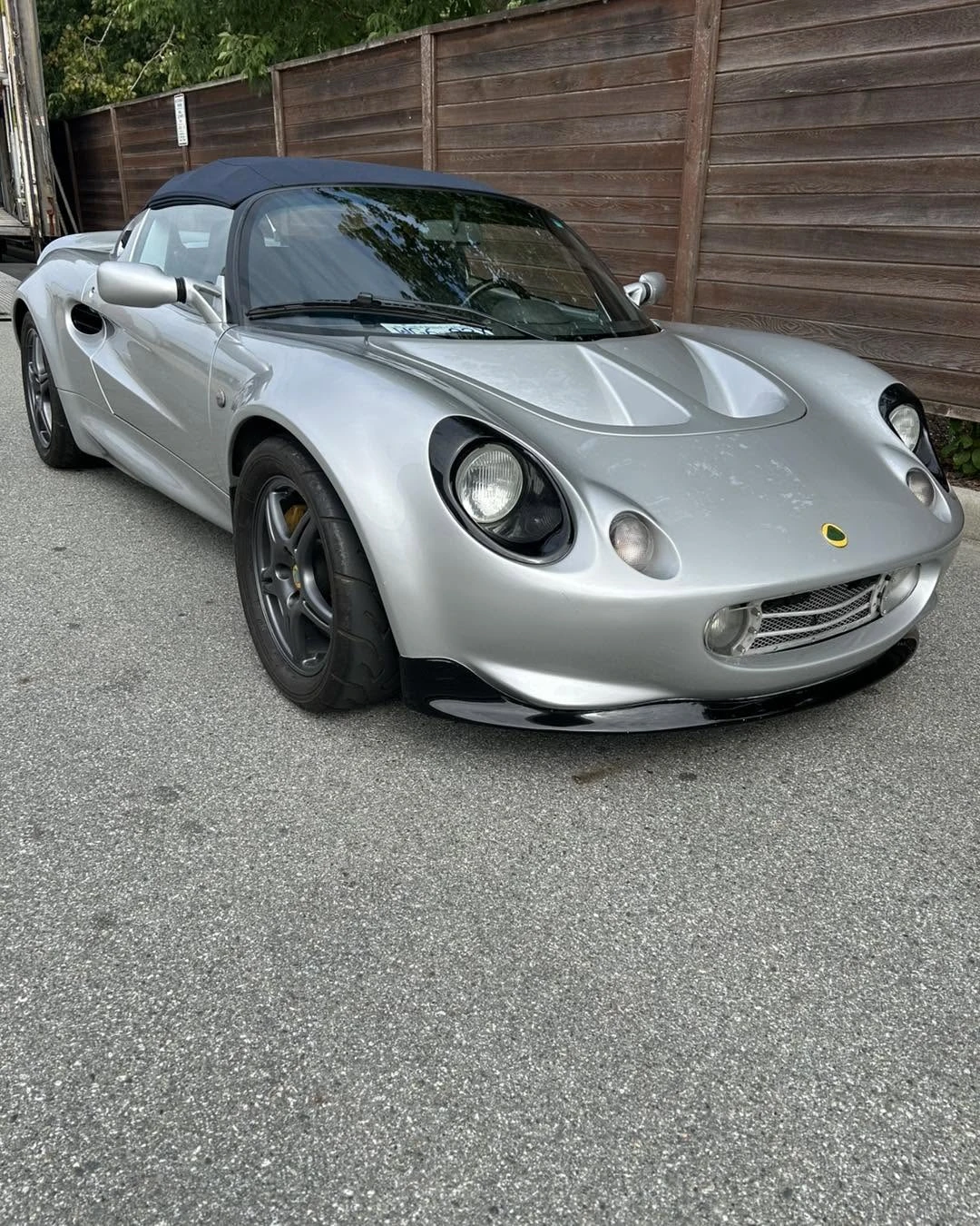 Silver Lotus photographed outdoors